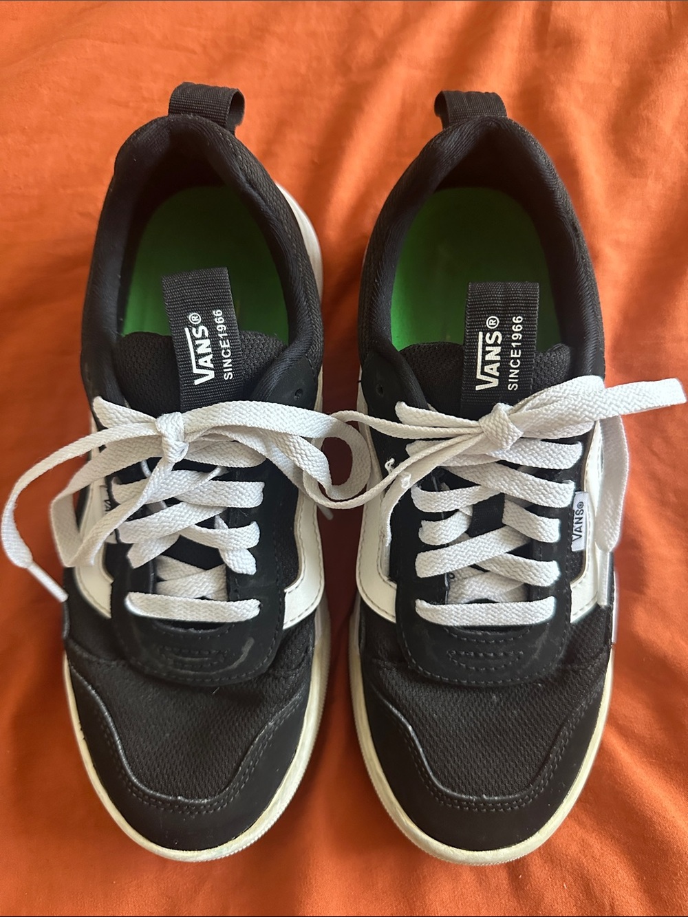 Vans Black and White Low-Top Skate Shoes